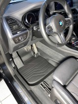 SRTK (�������) 3D LUX ������ ����� ������� BMW X3 G01 2017-