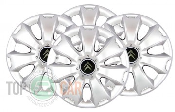 SKS � ��������� ������� R16 (������ 417) Citroen 