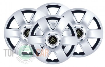 SKS � ��������� ������� R15 (������ 337) Citroen 