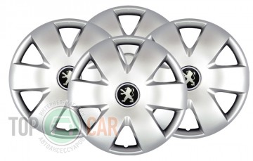 SKS � ��������� ������� R15 (������ 308) Peugeot