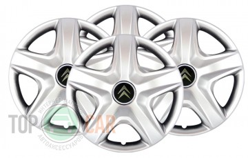 SKS � ��������� ������� R14 (������ 202) Citroen  