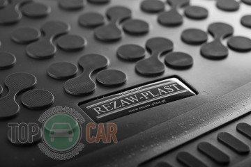 Rezaw-Plast ������� � �������� Audi Q5 2016-