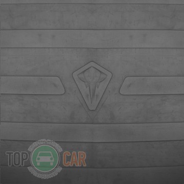 Stingray ��������� ������ � �������� Renault Megane III Grandtour 2009-2015