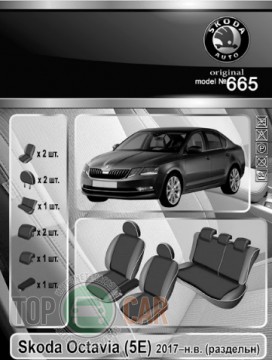 EMC ������������ ����� Skoda Octavia  A7 (E5) �/�� ���������� 2017-