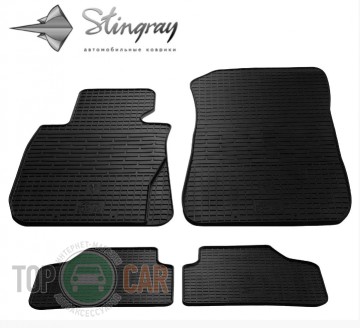 Stingray ������� BMW X1 (E84) 2009-2015