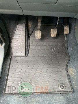 Stingray ������� ��������� FORD C-Max 2011- 