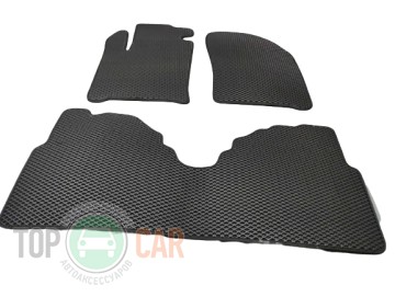 Beltex Eva ������� � ����� Renault Scenic 1996-2003