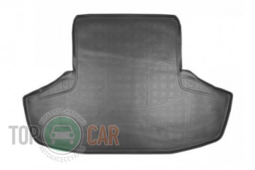 Nor-Plast ������� � �������� Lexus GS (S19) 2005-2012 ������-�����������