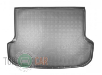 Nor-Plast ������� � �������� Lexus RX 2015 - ������-�����������