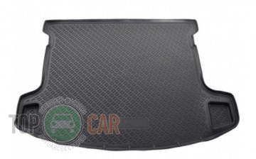 Nor-Plast ������� � �������� Nissan Qashqai 2 ������-�����������