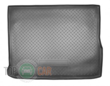 Nor-Plast ������ � �������� Renault Scenic 2009-
