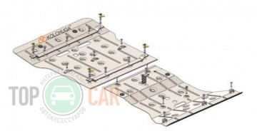 �������� ������ ������� Hyundai Ioniq Electric 2021-ZiPoFlex�