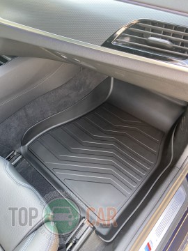 SRTK (�������) 3D LUX ������ ����� ������� BMW 5 series G30 2016-