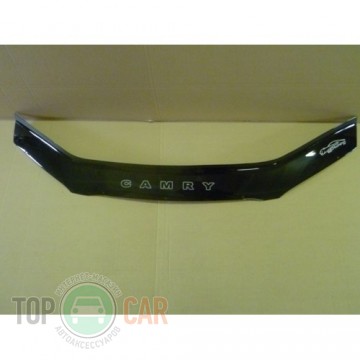 Toyota Camry  1996�2001