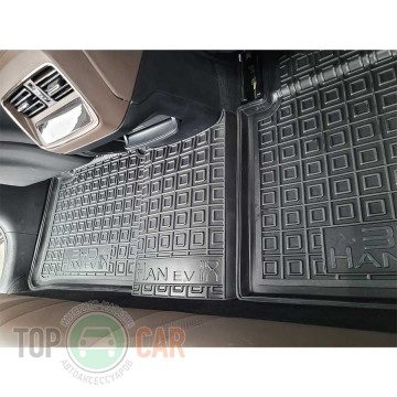 Avto Gumm ������� � ����� BYD Tang 2 EV 2018- (7�)