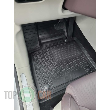 Avto Gumm ������� � ����� Leapmotor �11