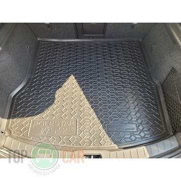 Avto Gumm ������ � �������� Polestar 2
