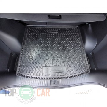 Avto Gumm ������ � �������� KGM (SSANG YONG) Torres EVX 2024-