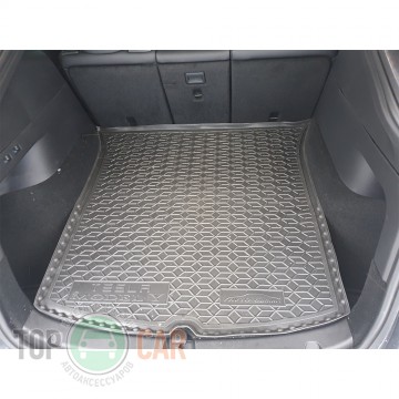 Avto Gumm ������ � �������� Tesla Model Y (������ �������)