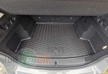 Avto Gumm ������� � �������� BMW iX1 U11 Long (��� ����)