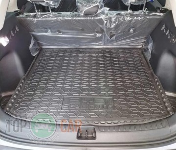 Avto Gumm ������� � �������� BYD Sea Lion 05 EV 2025- (������ �����)  