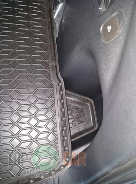 Avto Gumm ������� � �������� BYD Sea Lion 05 EV 2025- (������ �����)  