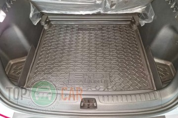 Avto Gumm ������ � �������� BYD Sea Lion 05 EV 2025- (������ �����) �1