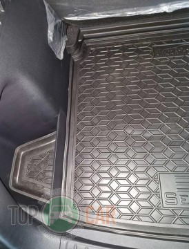 Avto Gumm ������ � �������� BYD Sea Lion 05 EV 2025- (������ �����) �1