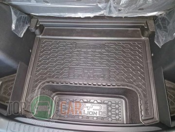 Avto Gumm ������ � �������� BYD Sea Lion 05 EV 2025- (������ �����) �2