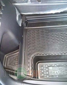 Avto Gumm ������ � �������� BYD Sea Lion 05 EV 2025- (������ �����) �2