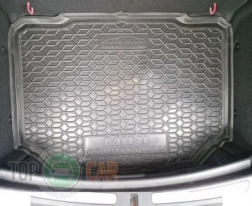 Avto Gumm ������ � �������� Mini Countryman F60 2017-2024 (������ �����)