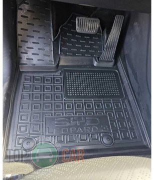 Avto Gumm ������� � ����� BYD Leopard 3