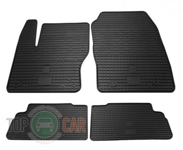 Stingray ������� ��������� Ford C-Max 11- 