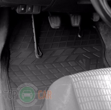 Stingray ������� ��������� Ford Connect 2002-2012 ��������