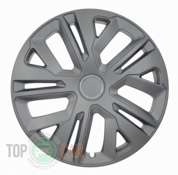 Raven ring