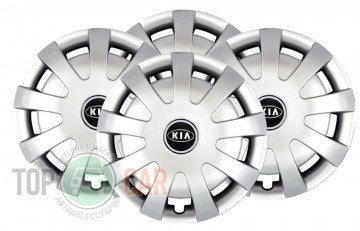SKS � ��������� ������� R15 KIA (������ 309) 