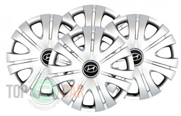 SKS � ��������� ������� R15 (������ 317) Hyundai 