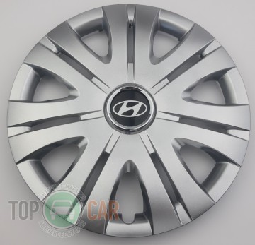 SKS � ��������� ������� R15 (������ 317) Hyundai 