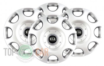 SKS � ��������� ������� R14 (������ 208) KIA 